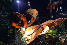 Warga Dusun Baru Pelokan Ditemukan Meninggal Saat Cari Brondol, Punya Riwayat Asam Urat