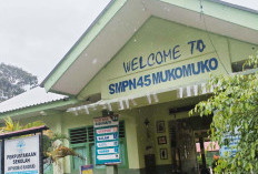 Tidak Dilindungi Pagar, SMPN 45 Mukomuko Kerap Dimasuki Ternak Hingga Hewan Liar