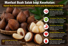 Manfaat Buah Salak bagi Kesehatan: Dijuluki Buah Memori karena Kandungan Nutrisi yang Mendukung Fungsi Otak