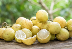 Manfaat Buah Rambai bagi Kesehatan: Buah Asam Manis Lokal yang Kaya Kandungan Alami
