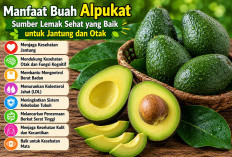 Manfaat Buah Alpukat bagi Kesehatan: Sumber Lemak Sehat yang Baik untuk Jantung dan Otak