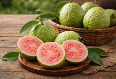 Manfaat buah jambu biji bagi Kesehatan: Tinggi Vitamin C dan Baik untuk Imun