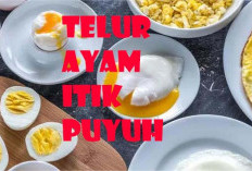 Telur Ayam, Telur Bebek dan Telur Puyuh, Bagus mana?