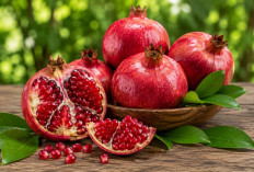 Manfaat Buah Delima bagi Kesehatan: Buah Merah Mutiara yang Kaya Antioksidan dan Vitamin