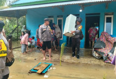 Permukaan Sungai Naik Akibat Hujan Lebat, Pemukiman Dibeberapa Desa Ini Rawan Banjir