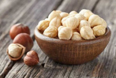 Minyak Kacang Macadamia: Manfaat untuk Kulit dan Rambut yang Perlu Anda Tahu!