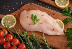 Dada Ayam: Sumber Protein Tanpa Tanding untuk Tubuh Sehat dan Ideal!