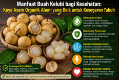 Manfaat Buah Kelubi bagi Kesehatan: Kaya Asam Organik Alami yang Baik untuk Kesegaran Tubuh