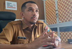 Belum Ada Proyeksi Penerimaan CPNS dan PPPK di 2026