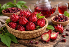 Daun Rosella: Herbal Asam Segar yang Baik untuk Tekanan Darah dan Kaya Antioksidan