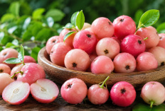 Manfaat Buah Namnam bagi Kesehatan: Kaya Flavonoid yang Baik untuk Melindungi Sel Tubuh