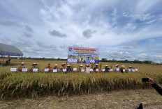 Panen Raya, Bupati Serahkan Bantuan Alsintan dan Pestisida Kepada Para Petani