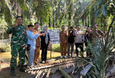 Pemdes Manjuto Jaya Panen Ikan Program Ketahanan Pangan