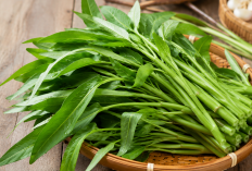 Manfaat Kangkung bagi Kesehatan: Kaya Vitamin A yang Baik untuk Mata dan Sistem Kekebalan Tubuh