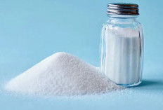 Bahaya Tersembunyi di Balik Rasa Asin: Mengapa Kelebihan Garam Mengancam Nyawa?