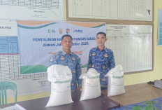 Dampak Desil, Masyarakat Miskin Penerima Bantuan Pangan Di Mukomuko Gigit Jari