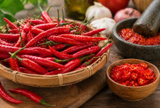 Dari Dapur ke Meja Makan: Peran cabai merah dalam Pola Konsumsi Harian Masyarakat
