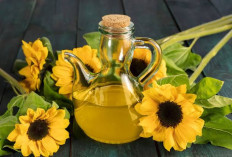 Manfaat Minyak Bunga Matahari untuk Kulit: Melembapkan, Mencerahkan, dan Melindungi!