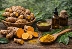 Temulawak: Herbal Lokal yang Ampuh Menjaga Kesehatan Hati dan Nafsu Makan