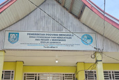 35 Siswa Jebolan SMAN 4 Mukomuko Lulus PTN Tanpa Tes 