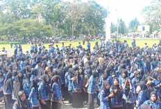 PPPK Paruh Waktu Juga Diharuskan Menggunakan Seragam Harian Seperti PNS