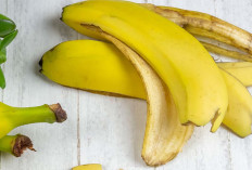 Disebut Dalam Al-Quran, Tanaman Ini Bisa Mendatangkan Rezeki Ke Rumah