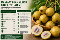 Manfaat Buah Mundu bagi Kesehatan: Buah Langka Nusantara yang Kaya Vitamin dan Serat