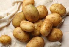 Kentang: Bukan Sekadar Karbohidrat, Sumber Vitamin dan Mineral Penting!