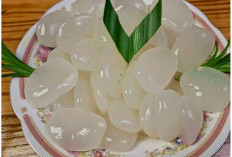 Variasi Olahan Kolang Kaling, dari Es Campur Hingga Pudding yang Lezat dan Menyehatkan