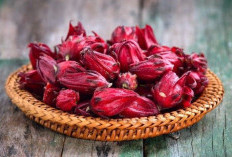 Eksplorasi Rasa Si Merah: Kreasi Olahan Rosela yang Segar, Manis, dan Menggugah Selera