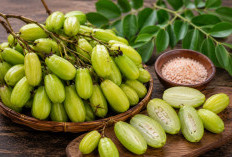 Manfaat Buah Cermai bagi Kesehatan: Buah Asam Segar yang Kaya Vitamin dan Serat