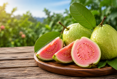 Manfaat Buah Jambu Biji bagi Kesehatan: Buah Lokal Kaya Vitamin yang Baik untuk Tubuh