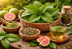 Daun Jambu Biji: Obat Tradisional yang Ampuh untuk Pencernaan dan Kaya Antioksidan