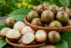 Manfaat Buah Matoa bagi Kesehatan: Buah Khas Papua yang Kaya Vitamin dan Antioksidan