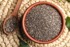 Chia Seed: Investasi Kesehatan Jangka Panjang, Tambahkan ke Menu Sehari-hari Anda Sekarang!