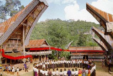 Tarian Pitu, 7 Peradian Adat Tradisional Suku Toraja