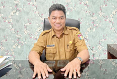 Pemerintah Pastikan Timbangan Sawit Akurat, Upaya Lindungi Petani dari Kerugian Transaksi