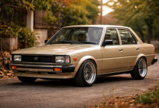 Ini Sebabnya Toyota Corolla DX 1981 Masih Banyak Dicari
