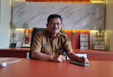 Puluhan Ton Benih Padi Bantuan Segera Tiba, Dukung Produktivitas Petani Mukomuko