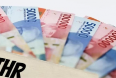 Kategori Pekerja Perusahaan Yang Berhak Menerima THR