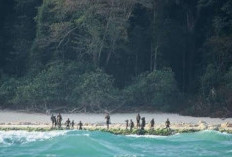 Jangan Salah Masuk, Pulau-Pulau Ini Terlarang Karena Dihuni Makhluk Menakutkan 
