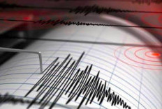 Aktivitas Gempa Bumi Di Wilayah Sumatera Barat dan sekitarnya Dalam Menunggu ini