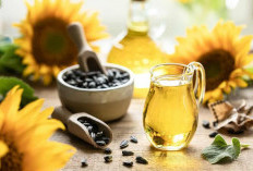 Minyak Bunga Matahari: Rahasia Sehat dari Alam untuk Masakan dan Kecantikan!