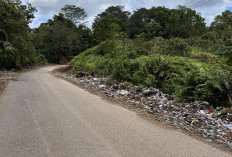 Tumpukan Sampah di Jalan Provinsi Wilayah Kecamatan V Koto Berbau Tak Sedap