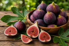 Manfaat Buah Tin bagi Kesehatan: Buah Istimewa yang Kaya Serat, Mineral, dan Antioksidan