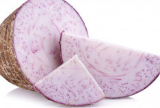 Taro: Lebih dari Sekadar Pewarna Makanan, Sumber Karbohidrat Sehat dan Kaya Serat!