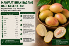 Manfaat Buah Bacang bagi Kesehatan: Kaya Vitamin C yang Membantu Menjaga Kesehatan Tubuh