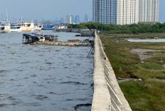 7 Daerah Ini Terancam Tenggelam Berubah Menjadi Lautan, Ini Penyebabnya