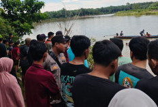 Warga Hilang Diduga Sempat Diterkam Buaya Sungai Manjunto