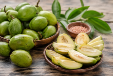 Manfaat Buah Kedondong bagi Kesehatan: Rasa Asam Segar dengan Beragam Kandungan Nutrisi